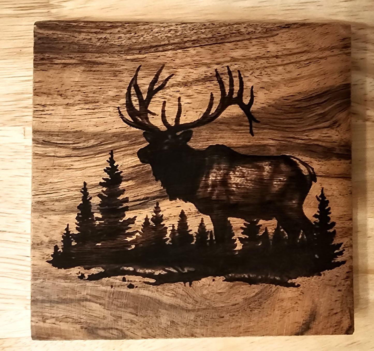 Nature Coasters