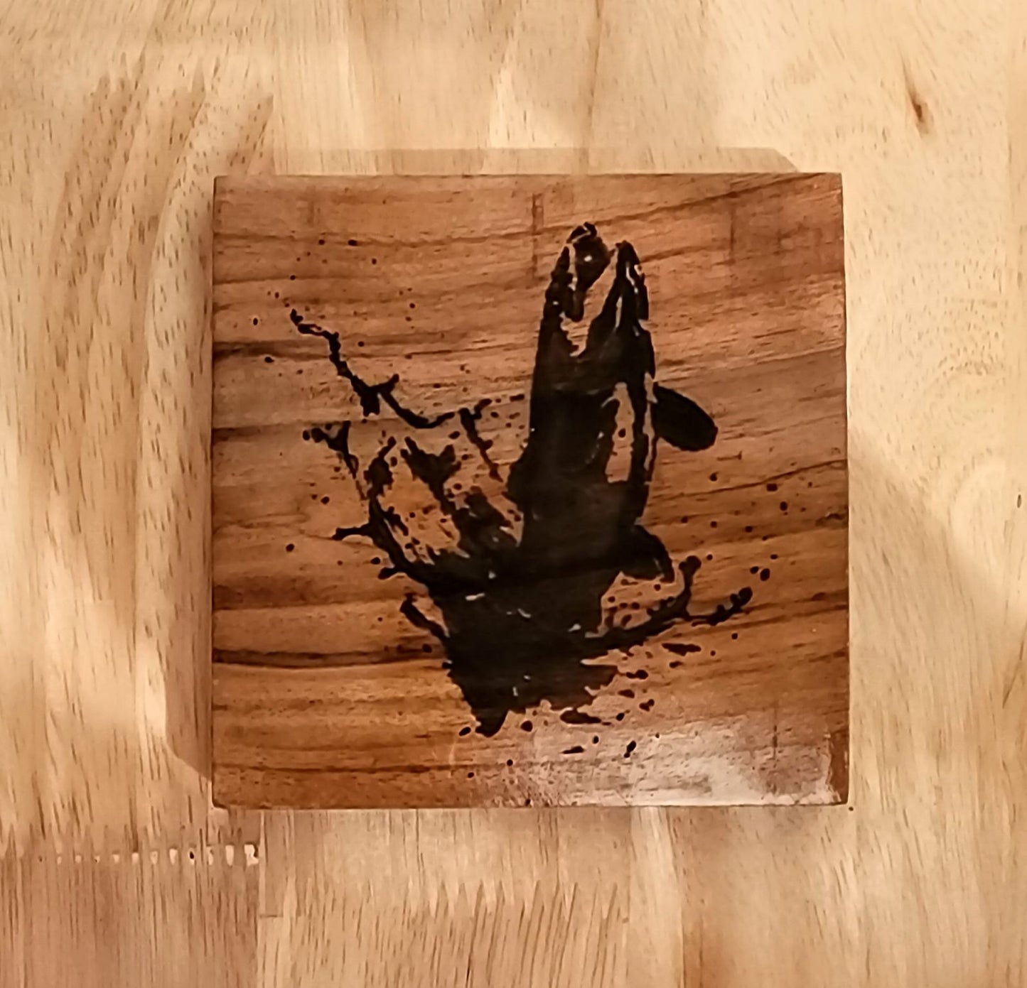 Nature Coasters