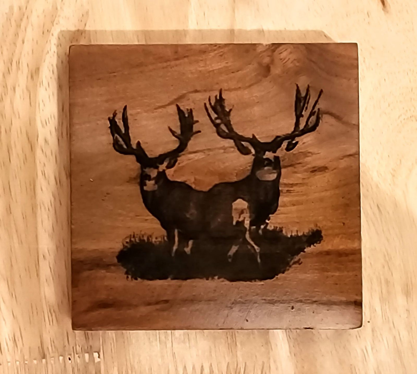 Nature Coasters