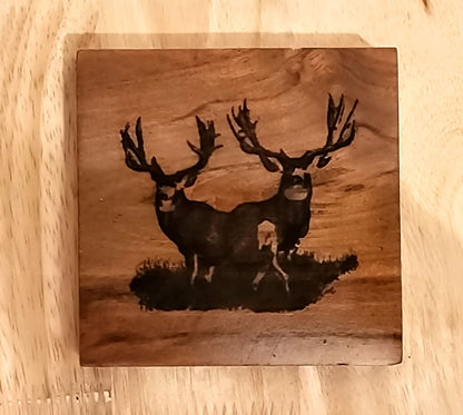 Nature Coasters